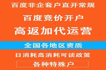 百度竞价排名：企业营销新利器案例分析